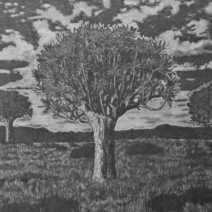 Kokerboom Forest: charcoal on cotton linen