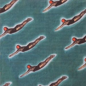 Divers fabric