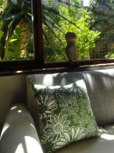 Namaqua daisy cushion